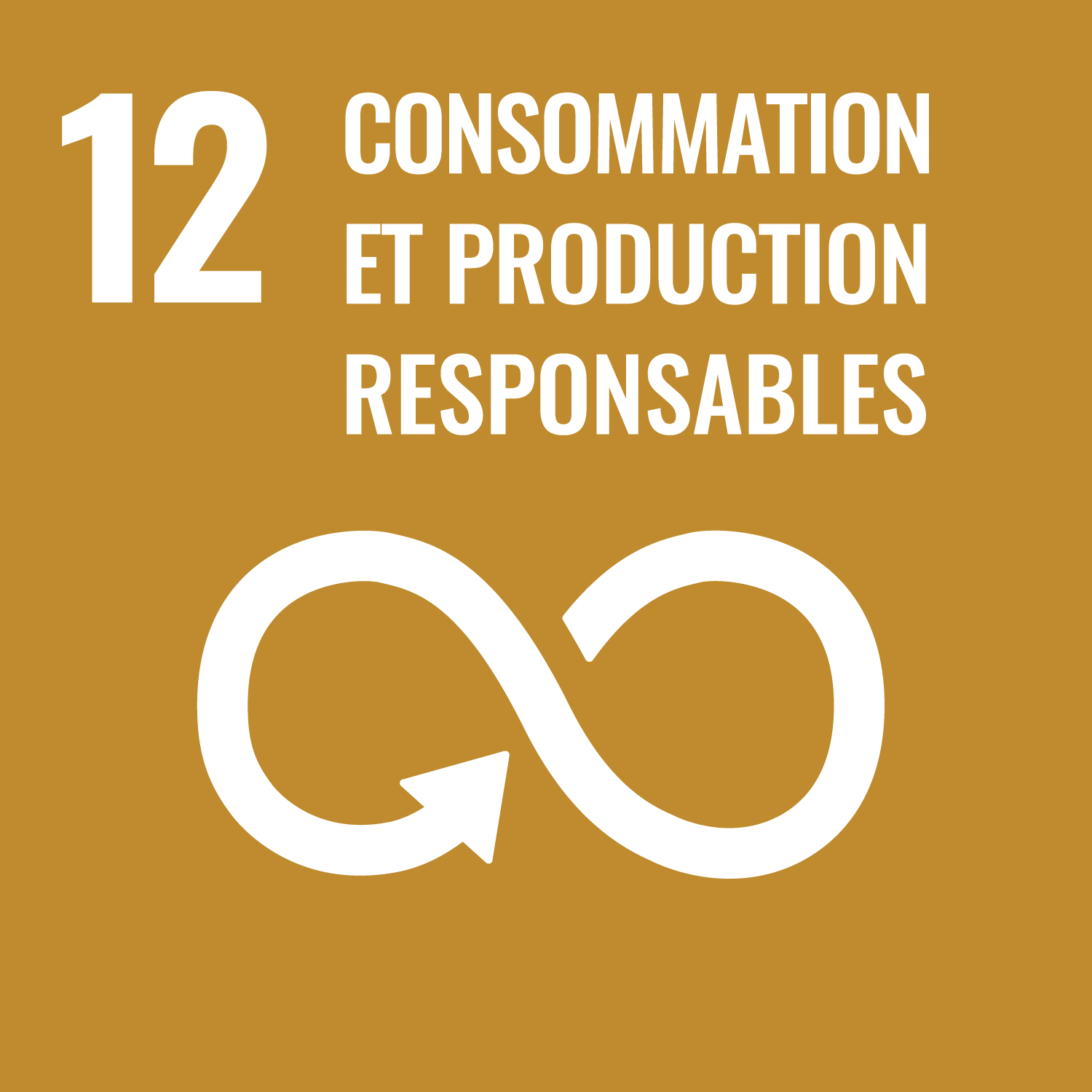 Établir des modes de consommation et de production durables.