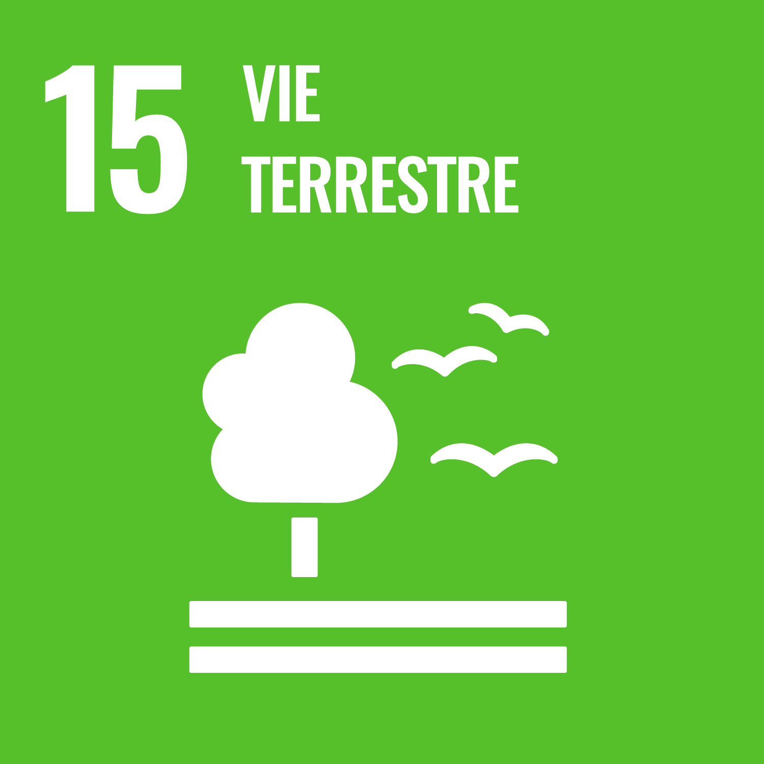 Préserver et restaurer les écosystèmes terrestres, en veillant à les exploiter de façon durable, gérer durablement les forêts, lutter contre la désertification, enrayer et inverser le processus de dégradation des sols et mettre fin à l’appauvrissement de la biodiversité.